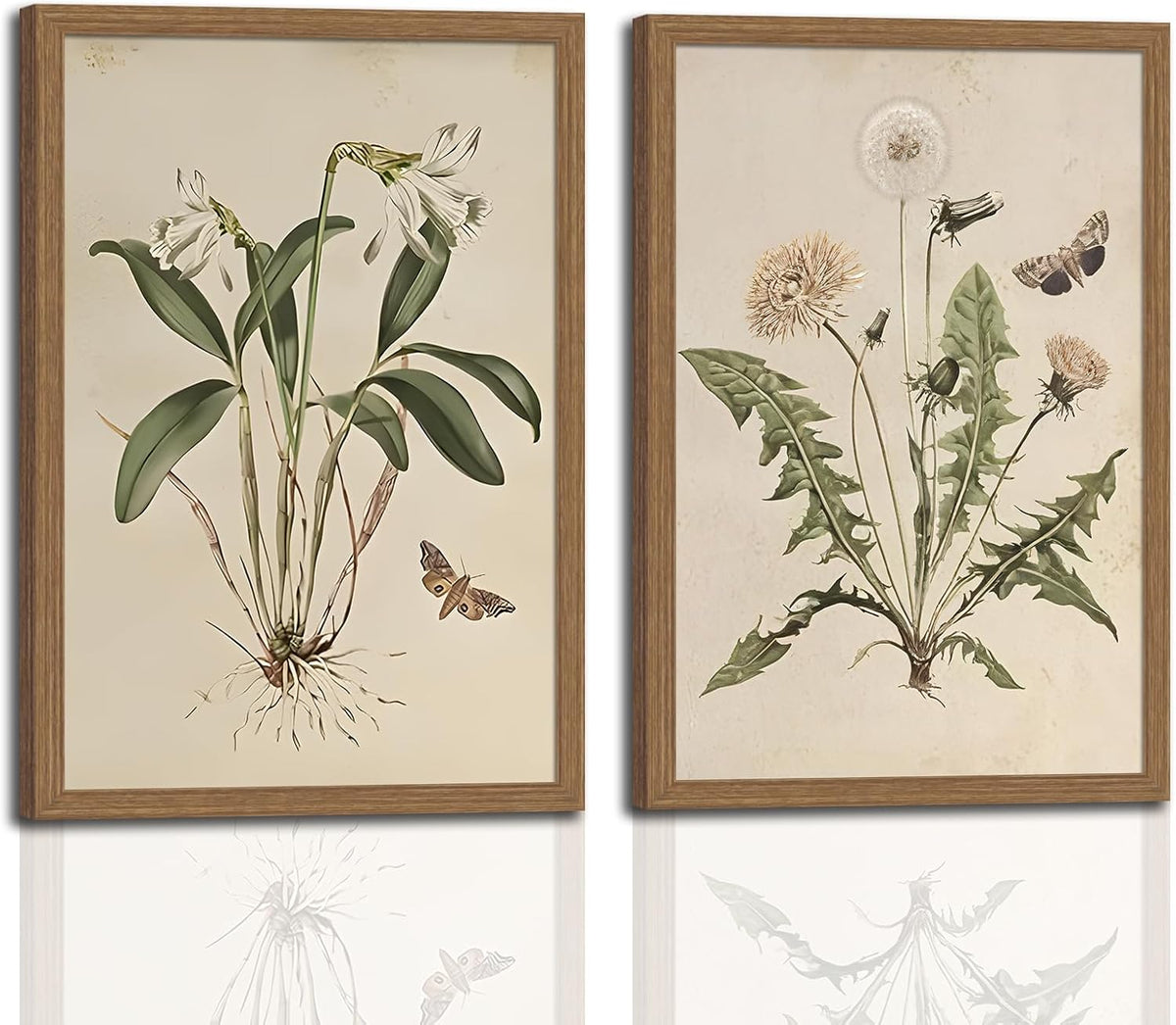 Vintage Botanical Dandelion Floral Decorative Framed Art
