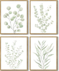 Botanical Eucalyptus Framed Wall Art Set