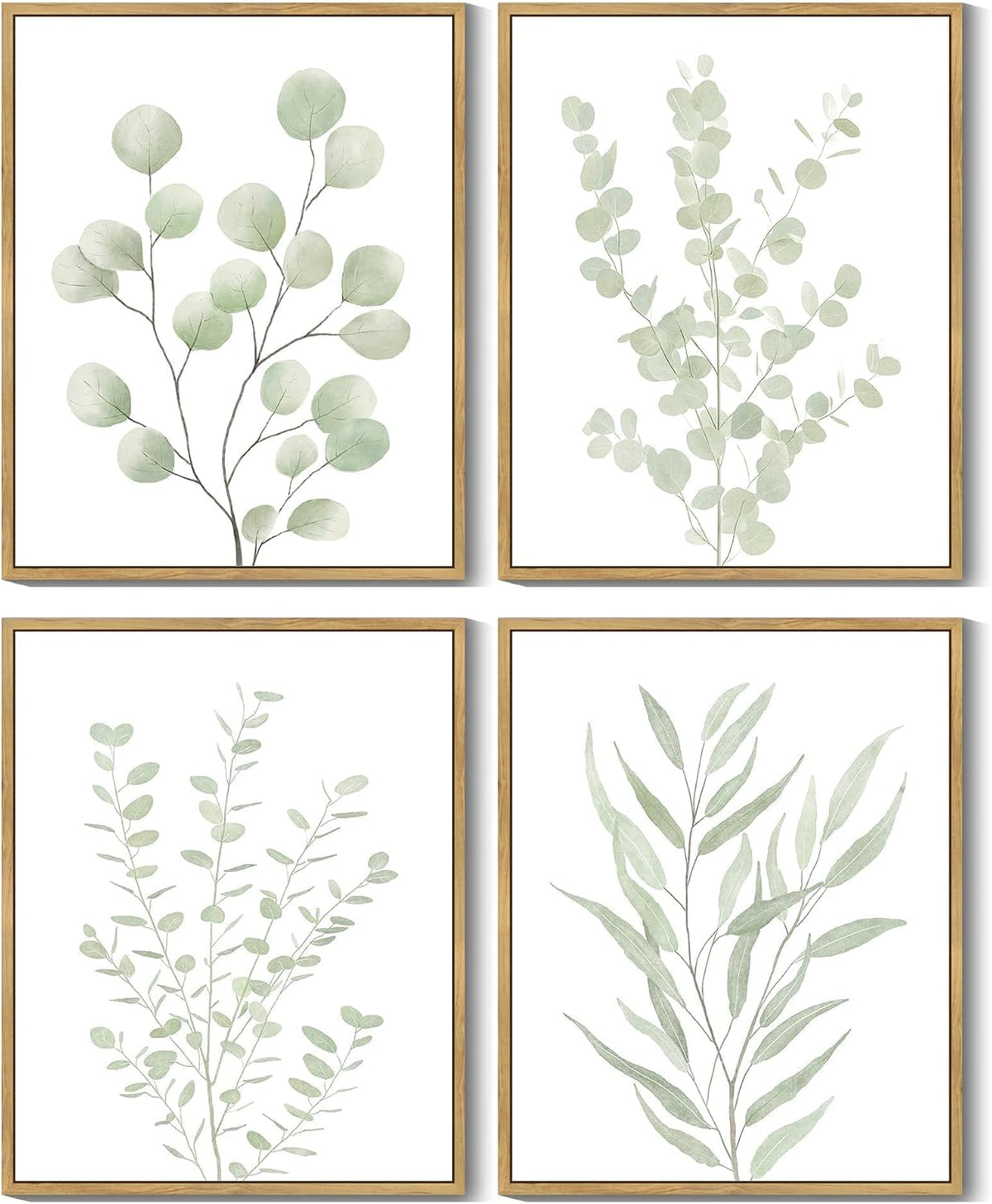 Botanical Eucalyptus Framed Wall Art Set