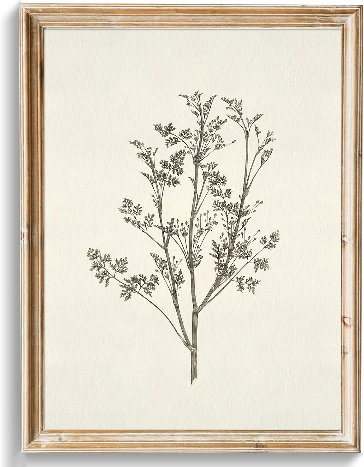 Neutral Floral Unframed Decorative Canvas Art