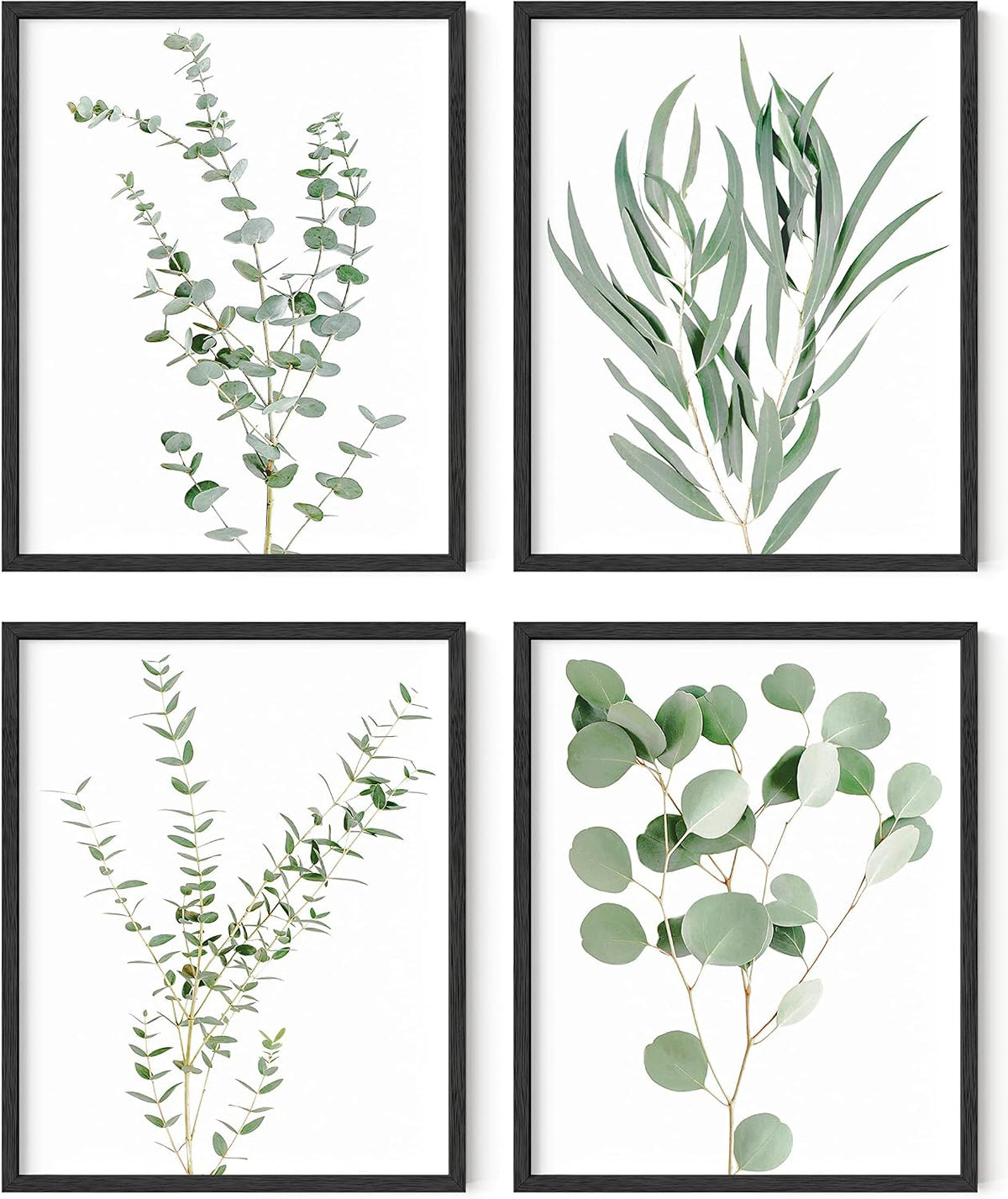 Minimalist Sage Green Botanical Floral Decorative Art Set