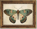 Vintage Butterfly Gold Framed Wall Art