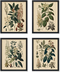 Unframed Botanical Floral Decorative Art Prints Set
