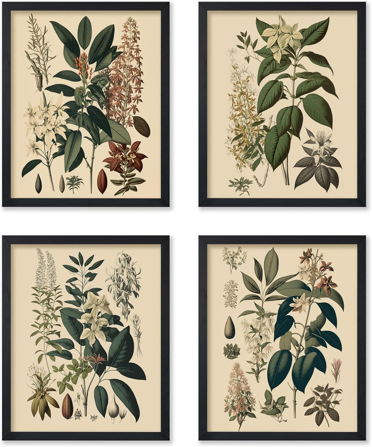 Unframed Botanical Floral Decorative Art Prints Set