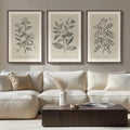 Black and White Botanical Floral Decorative Framed Art Set
