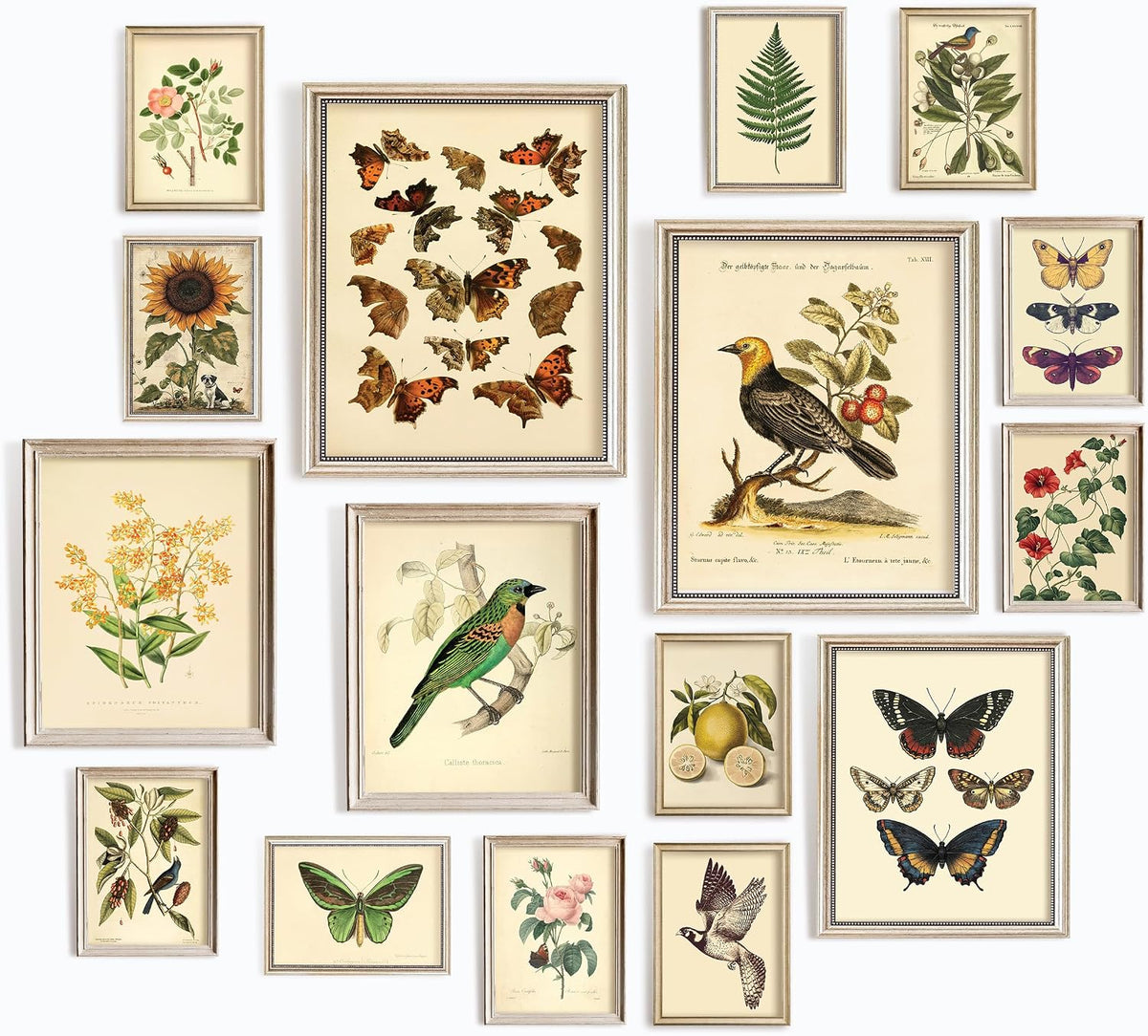 Vintage Botanical Floral Decorative Poster Set